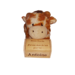 Boîte à dent